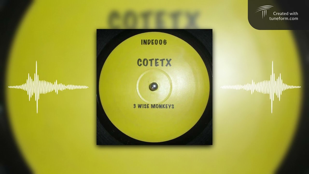 The Three Wise Monkeys - Work For Love(Cotetx RMX)