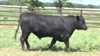 Lot 11, GAR OAF Prophet 1114G