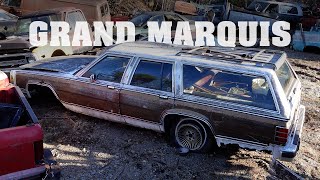 The Griswold Family Truckster