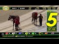 Tampa Bay Downs Live Stream