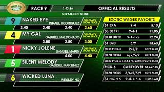 Tampa Bay Downs Live Stream