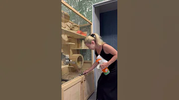 Шиншилла заплатила за уборку