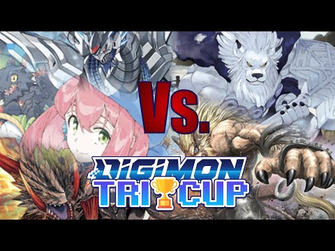 A Battle of HUMAN POTENTIAL!!! - Shinegreymon Vs. Ravemon