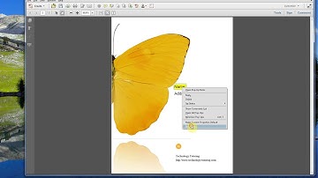 Adobe Acrobat How to Highlight Text