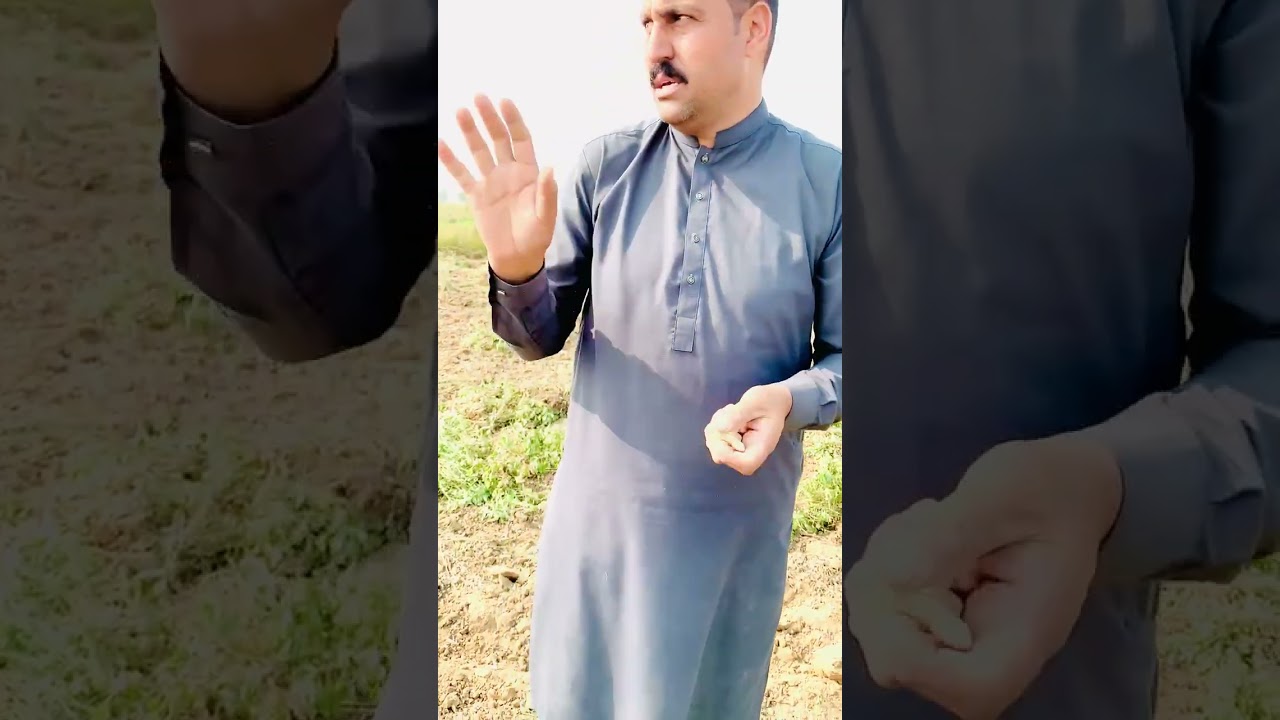 Branded Sogat of village Gorsian Peanuts 🥜 Gujjar Khan Punjab Pakistan 