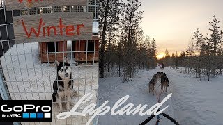 Финляндия | Лапландия | GoPro HERO8 | Собачьи упряжки. Хаски. Lapland Finland  | GoPro HERO8 | Husky