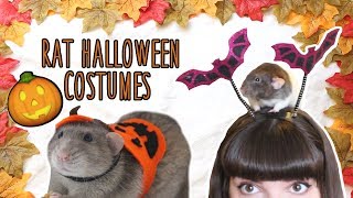 🎃🔮 Making my Rats Halloween Costumes 🔮🎃| DIY