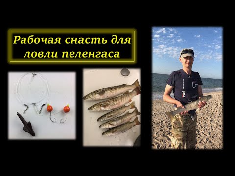 🎣 Уловистый монтаж (снасть) для Ловли Пеленгаса и Кефали своими руками #DENLife