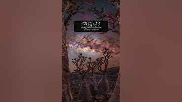 #قران | سورة آل عمران {ربنا ما خلقت هذا باطلا سبحانك} القارئ #عبدالعزيز_العسيري #quran #وذكــــر