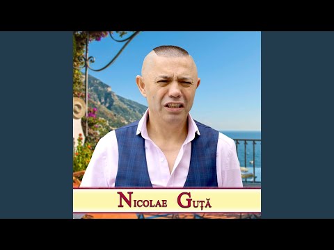 Te Amo (feat. Susanu)
