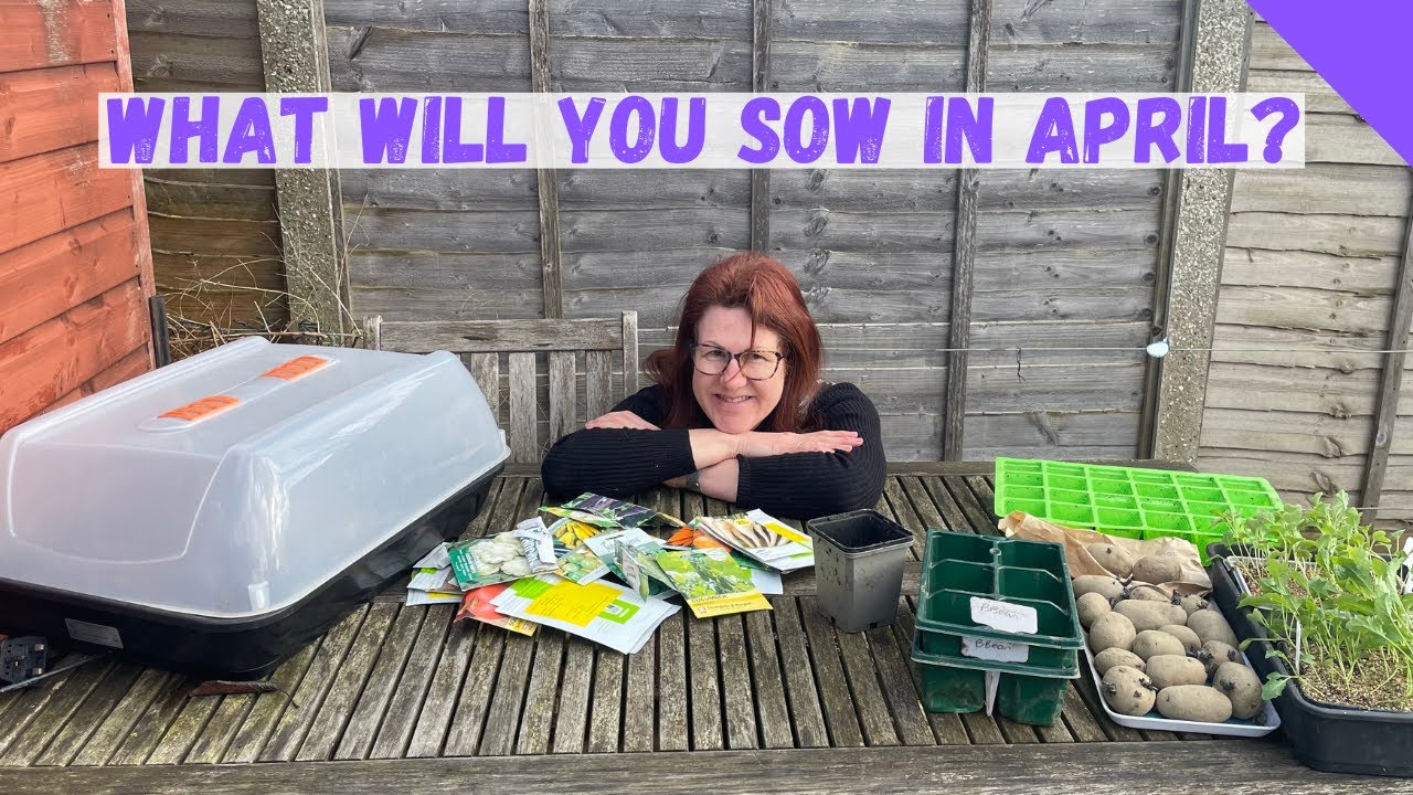 What To Sow In April? - Allotment Gardening For Beginners UK - YouTube