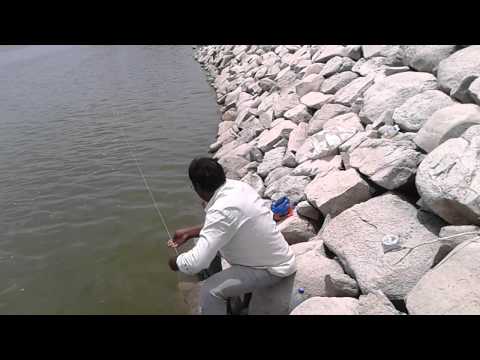 वीडियो: ट्राउट के लिए चम्मच: सफल मछली पकड़ने के रहस्य