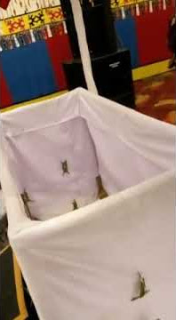 tomatabua atau dentuman irama mengiringi pemakaman keturunan raja tolaki#shorts