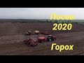 Посевная 2020 ещё не закончена ( зимующий горох)