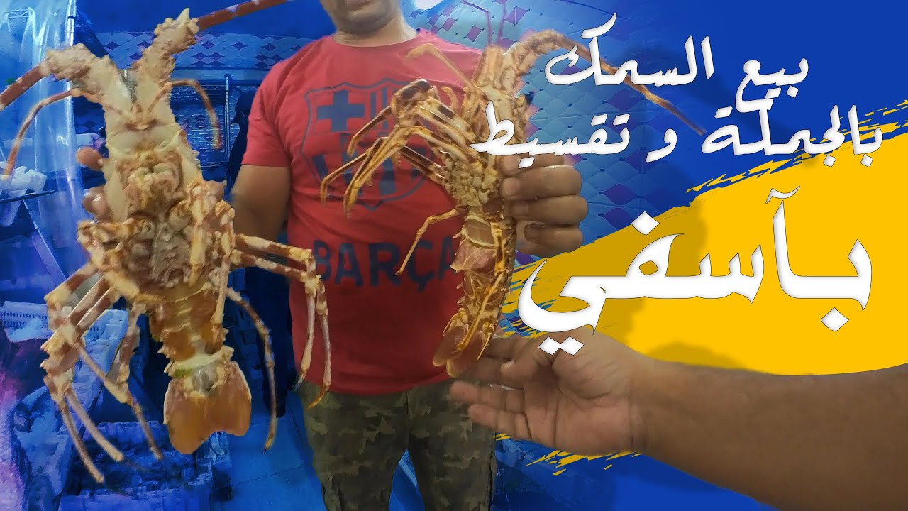 بيع السمك بالجملة و التقسيط بآسفي  wadii pescaddos