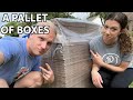 we (accidentally) bought a whole pallet of boxes 📦 | Business Update