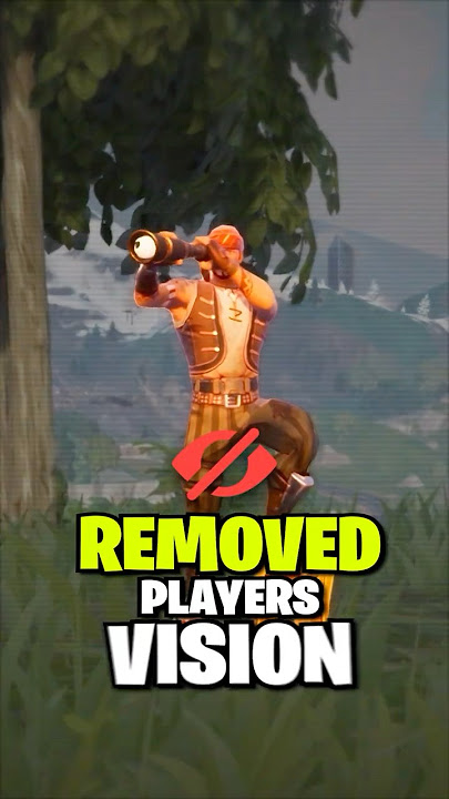When Fortnite REMOVED Players Vision.