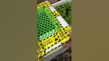 Làm nấp đậy cho thùng xốp khi from cá lóc ngoài trời