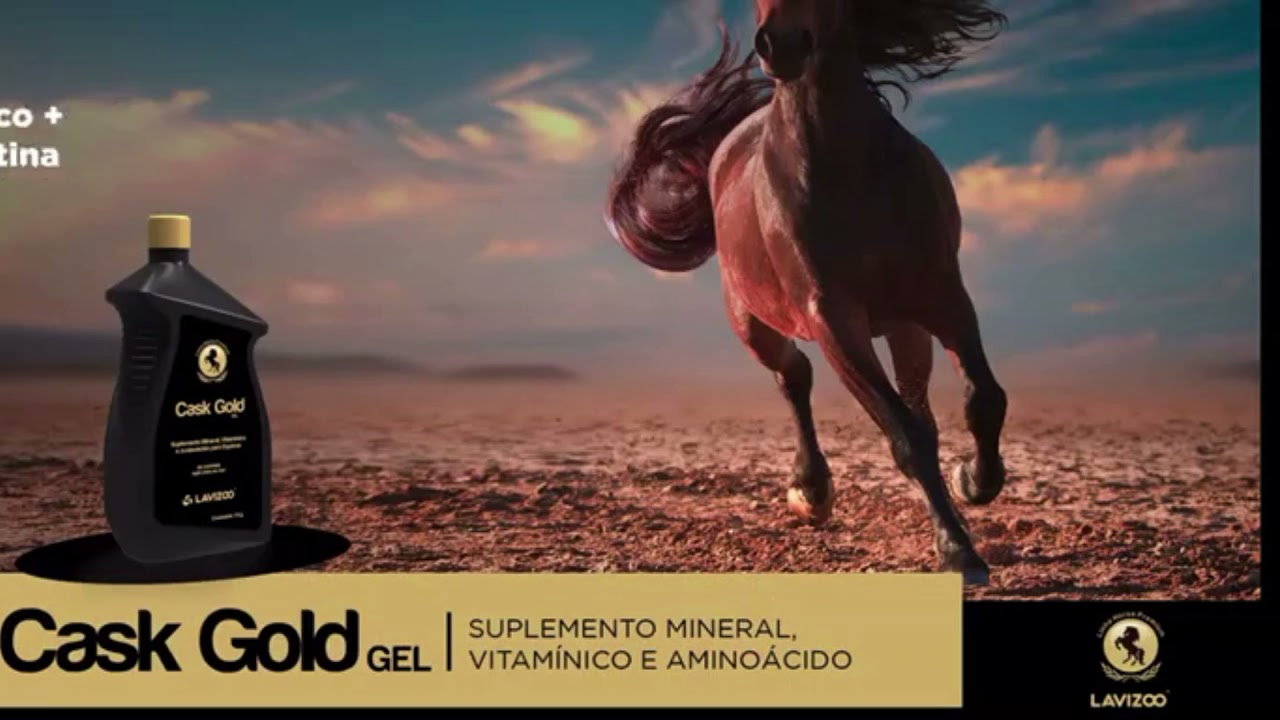 CASK GOLD Lavizoo