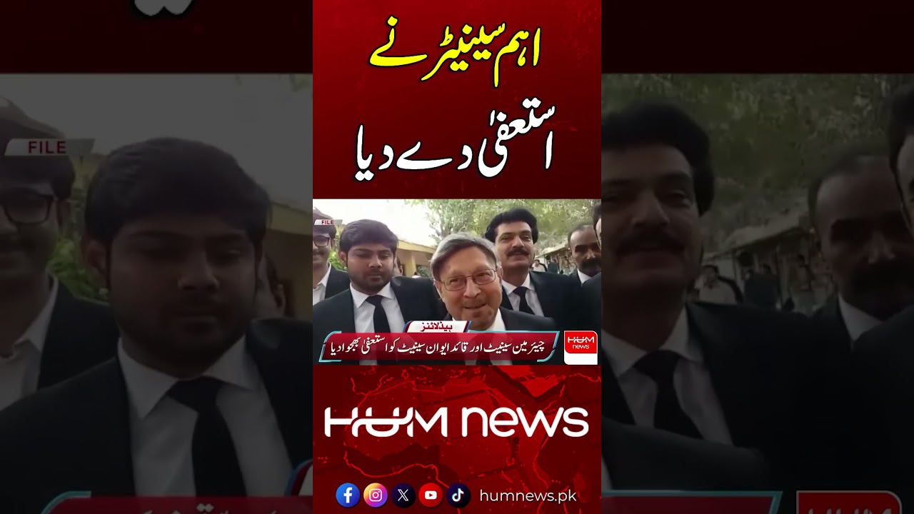 Important Senator Resigns | Breaking News | Hum News | Pakistan