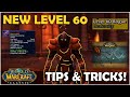 New Level 60 Tips &amp; Tricks: AQ40/Naxx Character Progression Overview WoW Classic