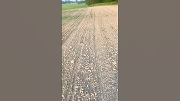 Seed check. #plant25