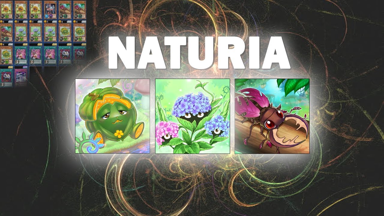[Yu-Gi-Oh! Duel Links] Naturia Deck