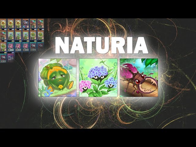 yu gi oh duel links naturia deck Amazon.com: Generic Complete Custom Deck for Yu-Gi-Oh!