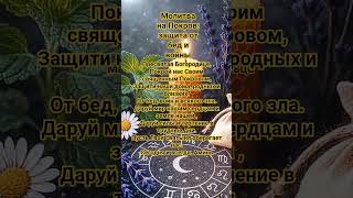 Молитва на Покров#защита# Покров#Православие#Мир#ПокровПресвятойБогородицы#Отвойны#Духовнаязащита