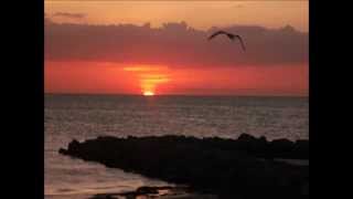 Sunset Photos