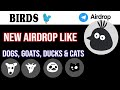 Birds new Airdrop like Dogs in telegram