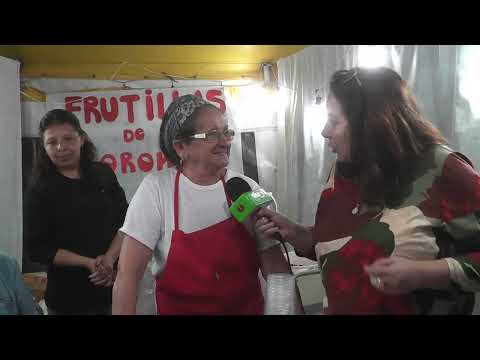 Stand de Frutillas de Coronda Entrevista a la Sra  Estela Maris Galloso de Cerrudo