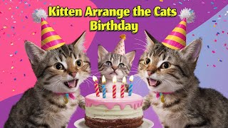 fluffy ne kiya Simba and Lila ka birthday organise | Kitten organize birthday for 1 year old pawrent