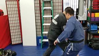 Young guns Hapkido Cane techniques