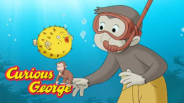 Curious George 🐠 George Visits a Coral Reef 🐠 Kids Cartoon 🐵 Kids Movies 🐵 Videos for Kids