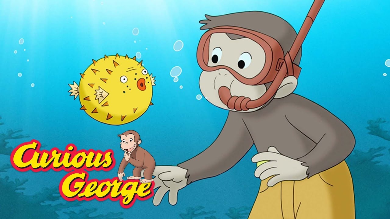 ⁣Curious George 🐠 George Visits a Coral Reef 🐠 Kids Cartoon 🐵 Kids Movies 🐵 Videos for Kids