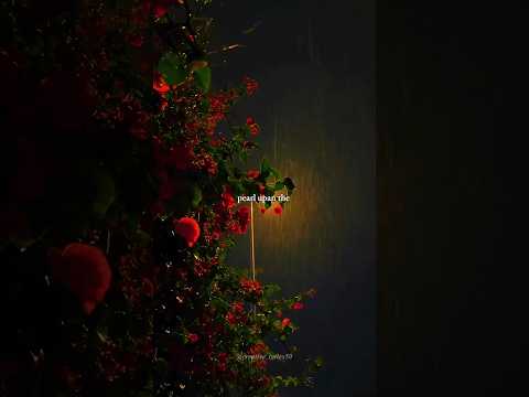 tera hone laga hoon - lyrics - Atif Aslam - #viral #aesthetic #ytshorts #explore #letest#love#shorts
