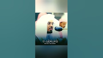 ايات منجيات بصوت الشيخ ياسر الدوسري حالات واتس اب دينية قصيرة قران كريم تلاوة خاشعة