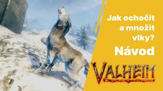 [CZ] Návod - Valheim, Jak ochočit a množit vlky? #valheim