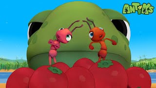 Hooked | Funny Cartoons For All The Family! | Funny Videos for kids | ANTIKS 🐜🌿