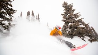 Carter Country Jackson Hole