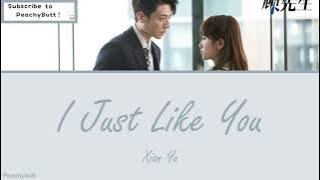 [OST of Hello Mr.Gu] 《I Just Like You》 Xian Yu (Eng|Chi|Pinyin)