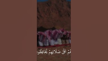 القارئ : ماهر المعيقلي | سورة المعارج #اكسبلور #المراره #لايك