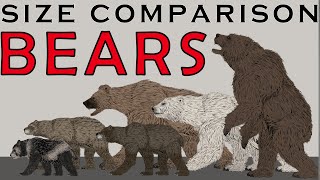 PREHISTORIC EXTINCT ANIMALS | Bears Size Comparison