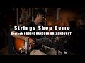 Strings shop demo  gretsch g5024e rancher dreadnought sunburst