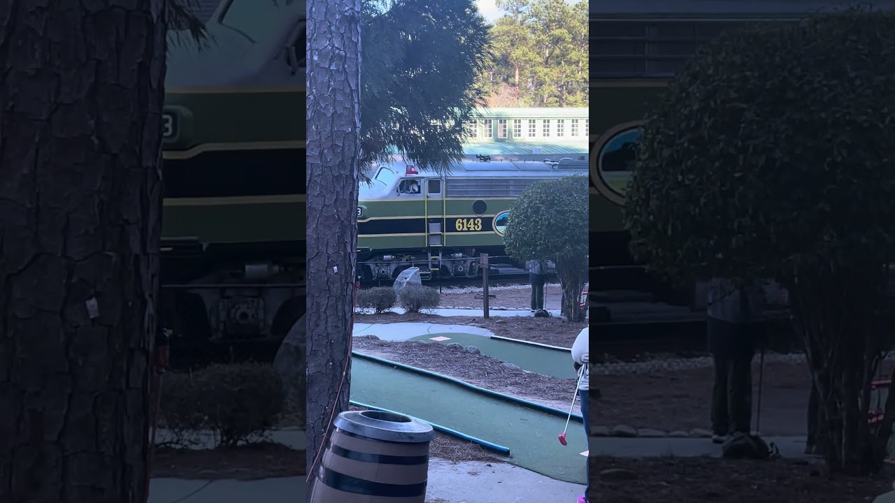 Stone mountain train. They have two but only recorded one. 