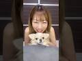 【明日もレナとラブラブでありますように】#チワワ #chihuahua #人気曲 #可愛い #チワワちゃん #癒し #cutedog #fyp #foryou