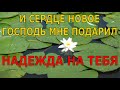 И сердце новое Господь мне подарил (Надежда на Тебя). Лучшие христианские песни.