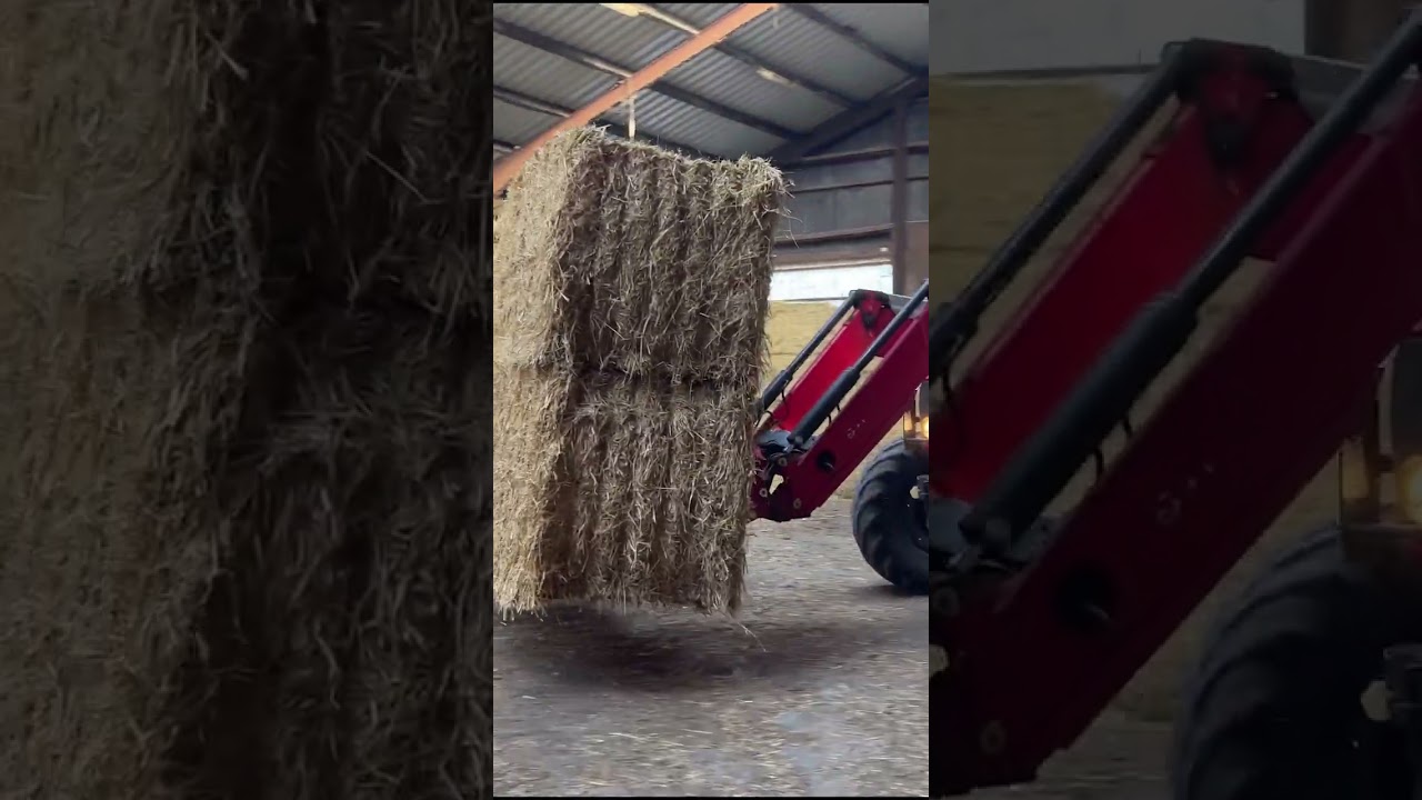 Amazing Pretty Girl Tractor Driver Farm