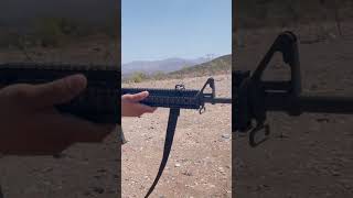 M16 in the wild